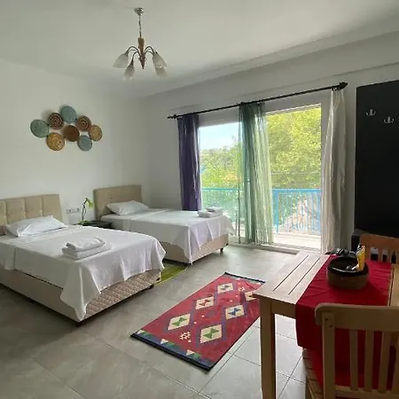 Apartment Merkezde Konforlu Apart-2 The Rush-2 *